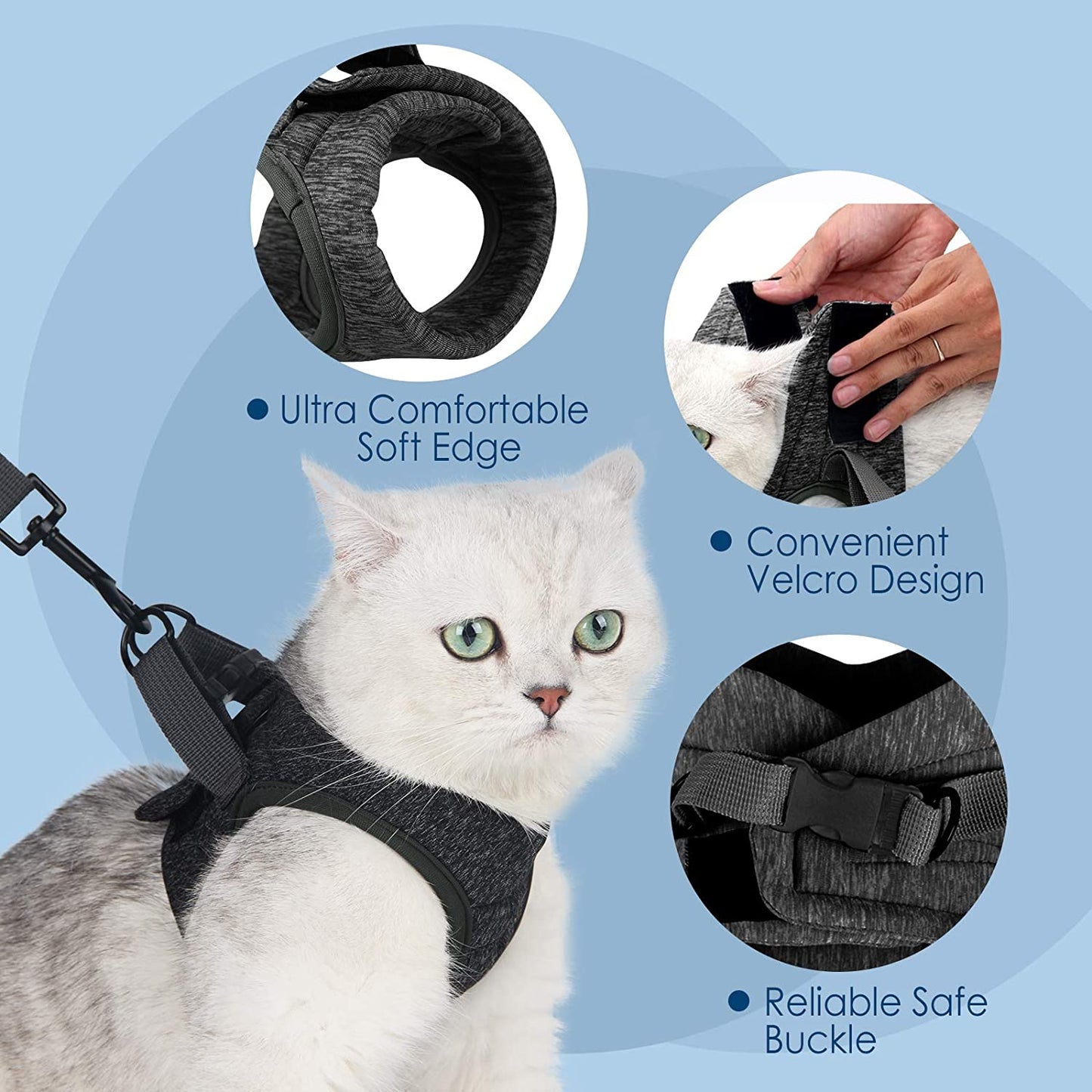 Harness for cat and kitten - S / M / L - Adjustable