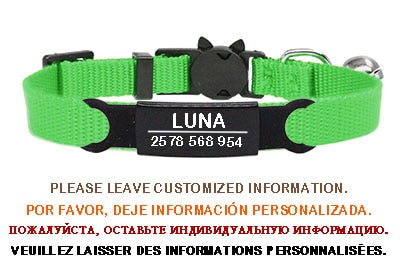 Kitten and cat collar with engraving