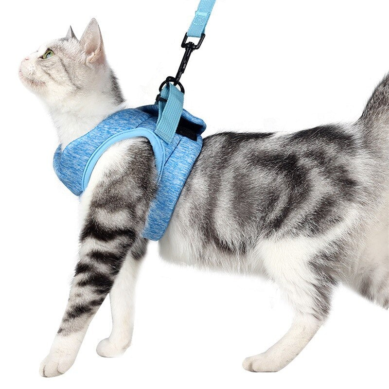 Harness for cat and kitten - S / M / L - Adjustable