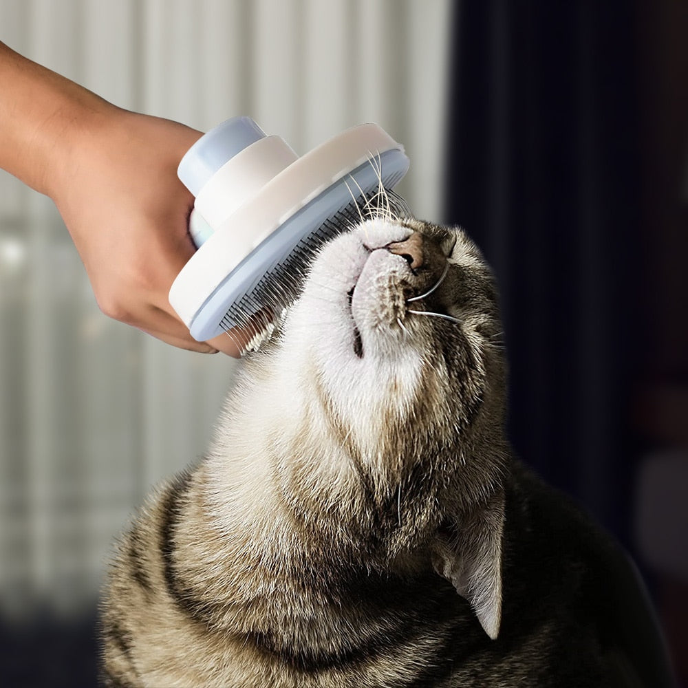 pet bristle brush