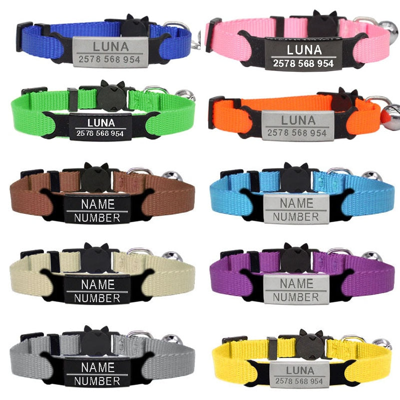 Kitten and cat collar with engraving