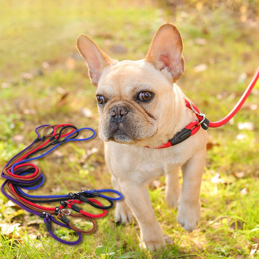 Golden chain leash for dogs - Comfortable and made of nylon