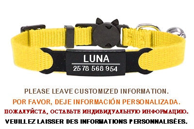 Kitten and cat collar with engraving