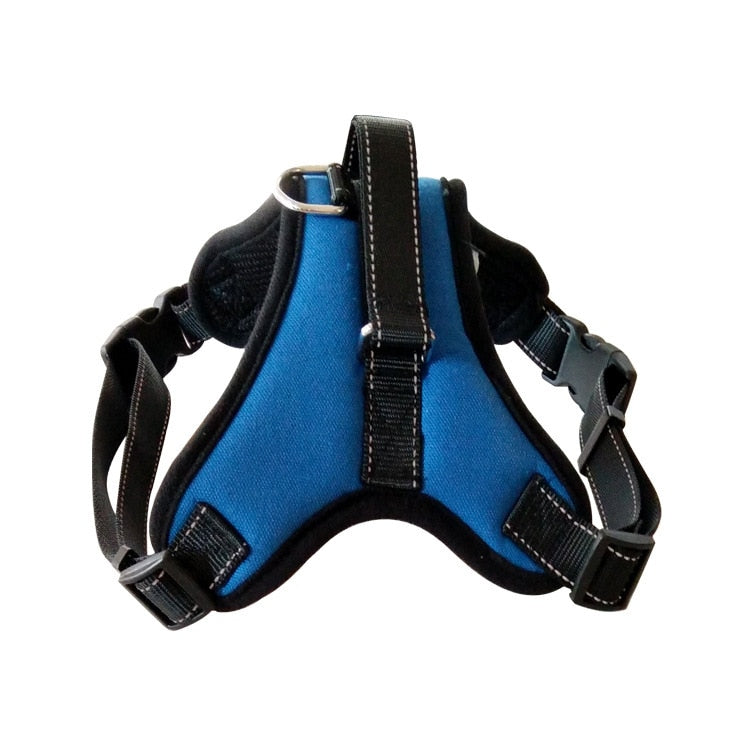 Quick release dog harness - puppy compatible