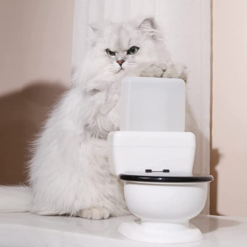 Fun Design Pet Flowing Fountain