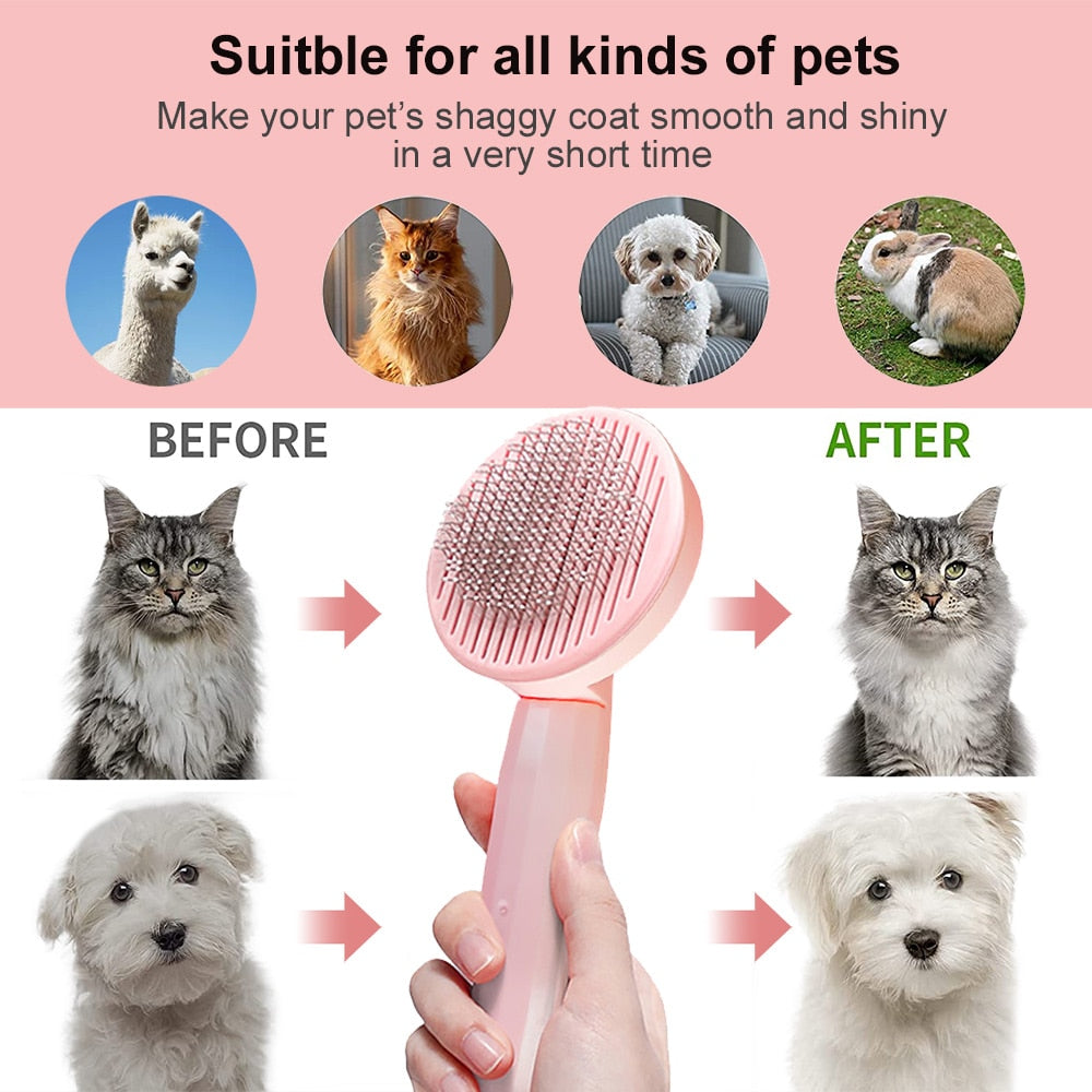 pet bristle brush