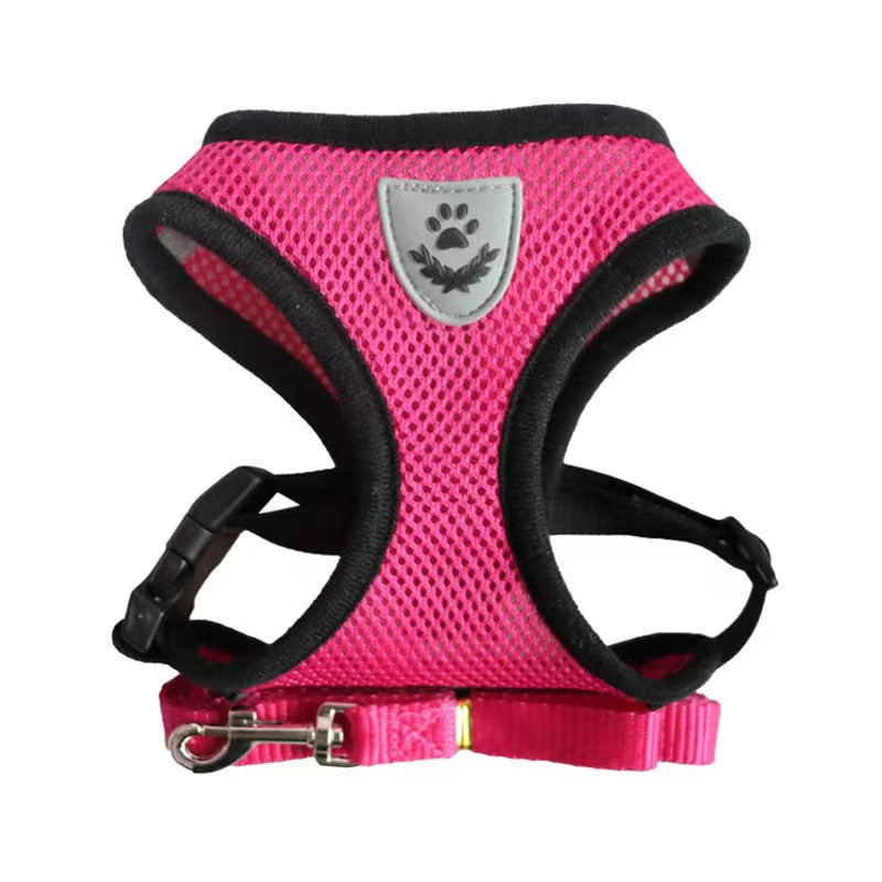 Pack 2 Harnesses for cats and small dogs