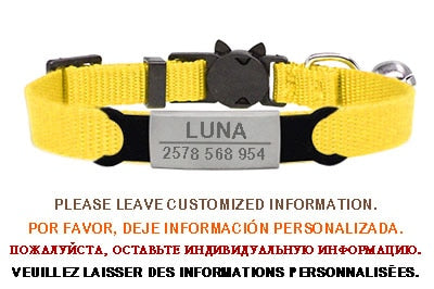 Kitten and cat collar with engraving