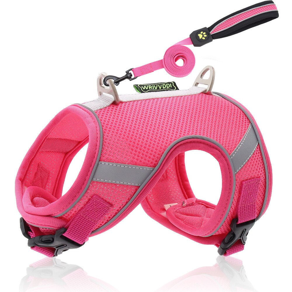 Adjustable nylon dog harness and leash - reflective safety collar