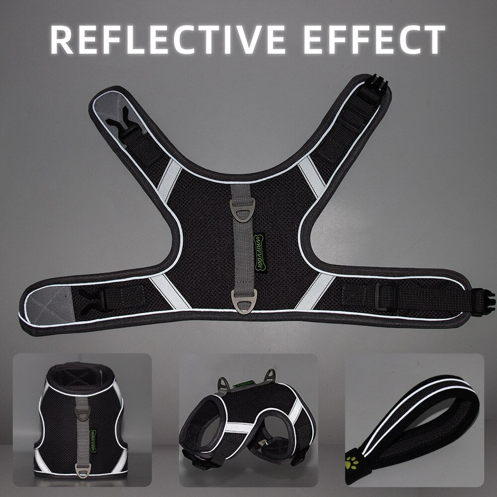 Adjustable nylon dog harness and leash - reflective safety collar