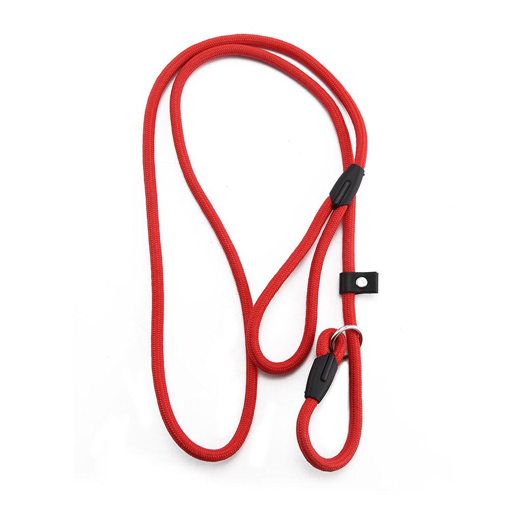 Golden chain leash for dogs - Comfortable and made of nylon