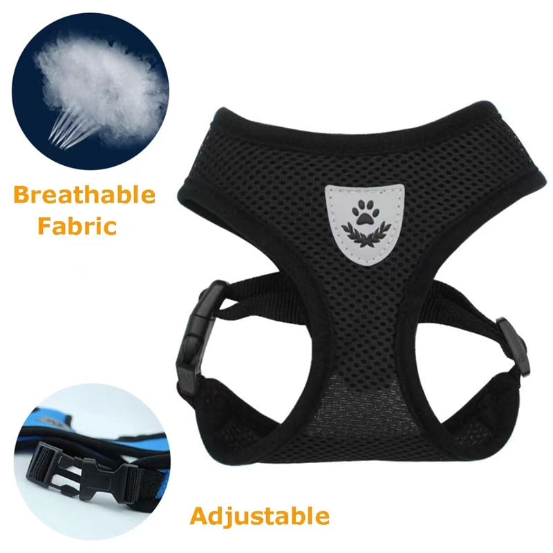 Pack 2 Harnesses for cats and small dogs