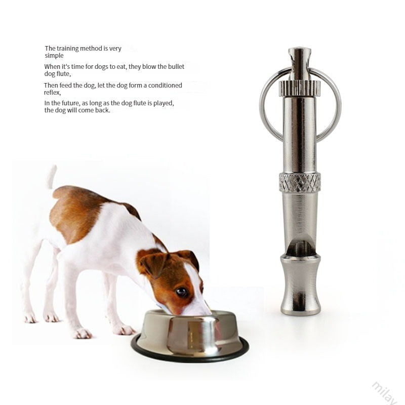 dog training whistle