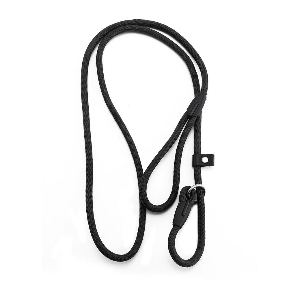 Golden chain leash for dogs - Comfortable and made of nylon