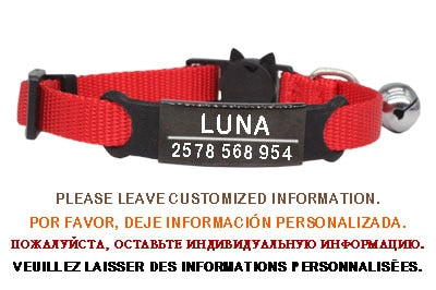 Kitten and cat collar with engraving