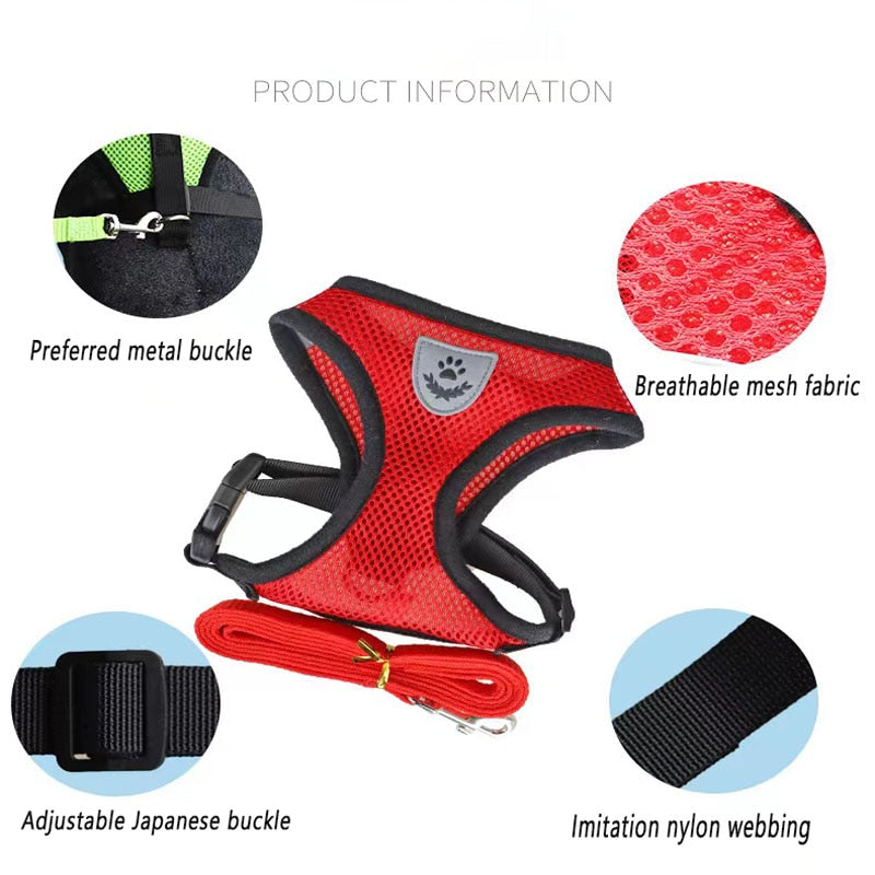 Pack 2 Harnesses for cats and small dogs