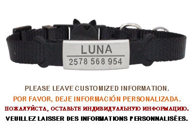 Kitten and cat collar with engraving