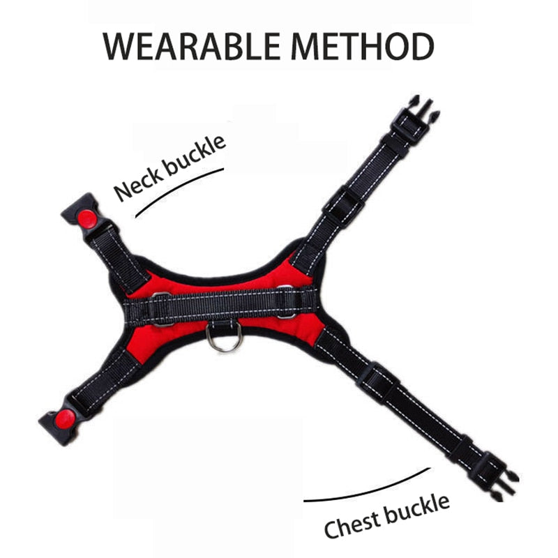 Quick release dog harness - puppy compatible