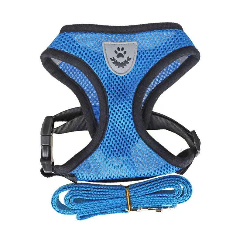 Pack 2 Harnesses for cats and small dogs