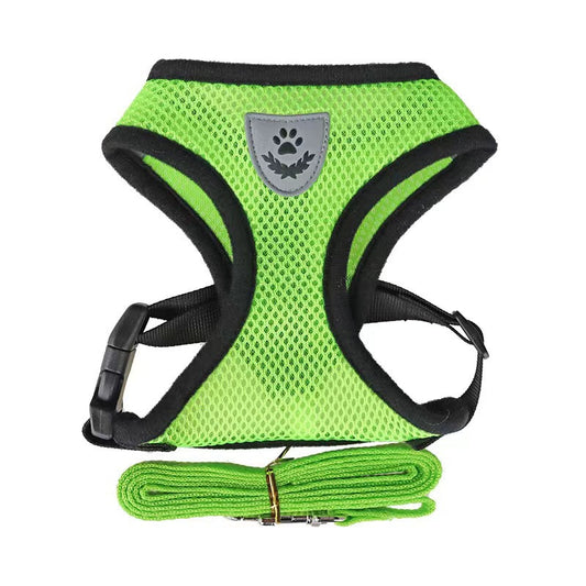 Pack 2 Harnesses for cats and small dogs