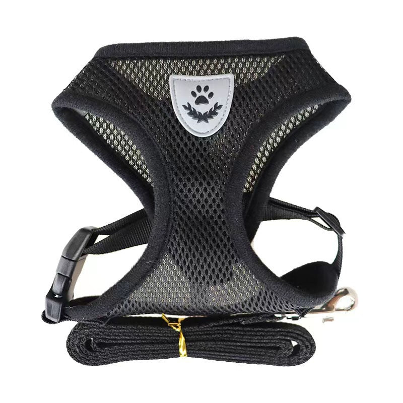 Pack 2 Harnesses for cats and small dogs
