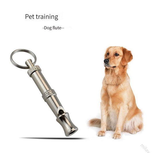 dog training whistle