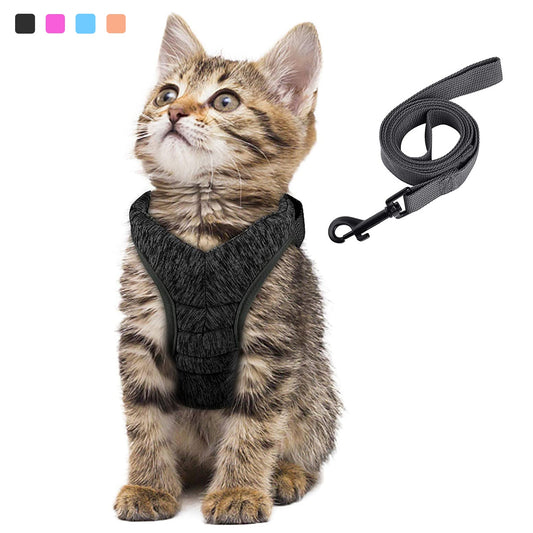 Harness for cat and kitten - S / M / L - Adjustable