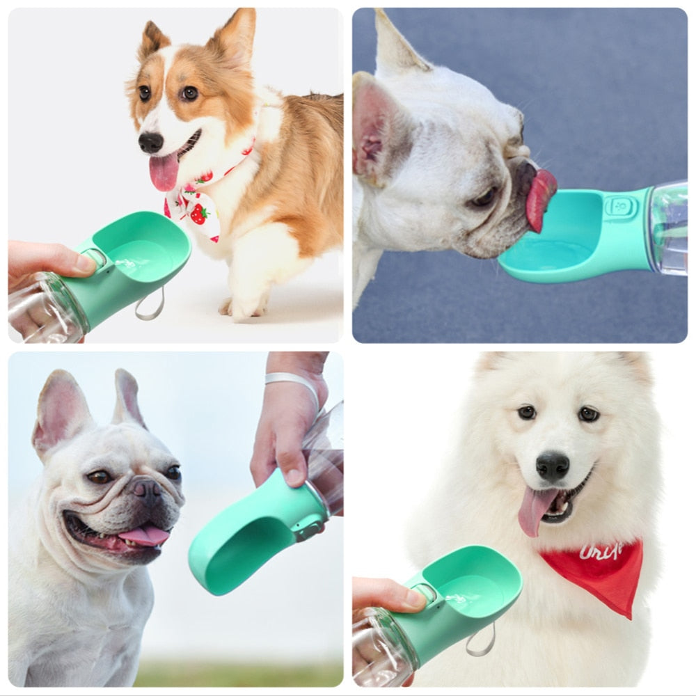 Portable dog water bottle - plastic