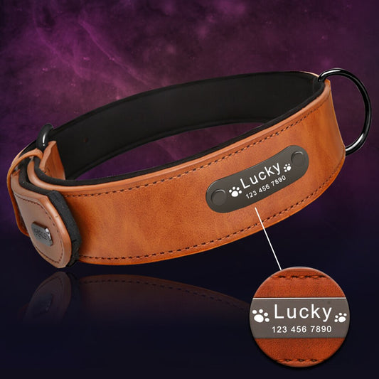 Customizable dog collar - 8 colors available