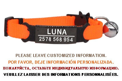 Kitten and cat collar with engraving