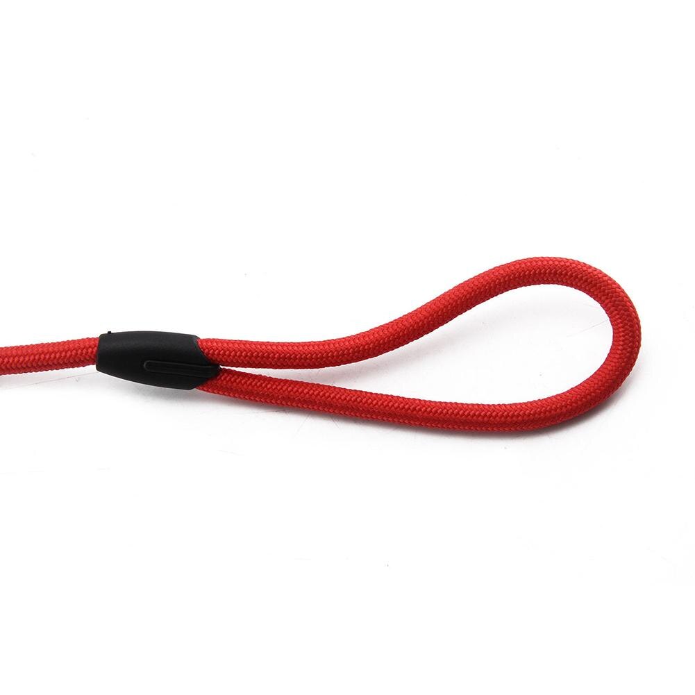Golden chain leash for dogs - Comfortable and made of nylon