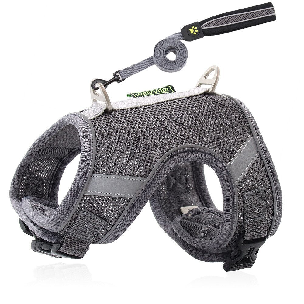 Adjustable nylon dog harness and leash - reflective safety collar