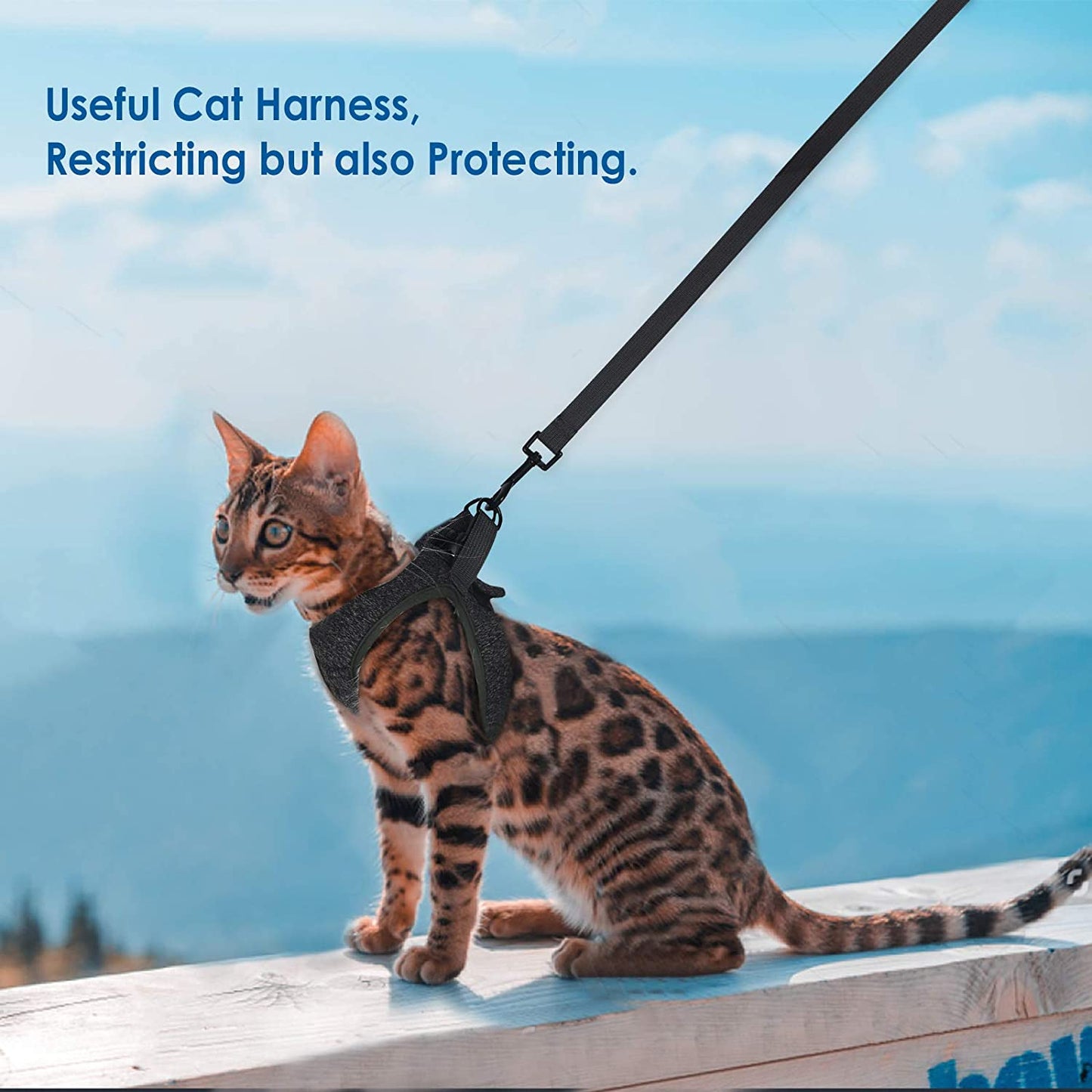 Harness for cat and kitten - S / M / L - Adjustable