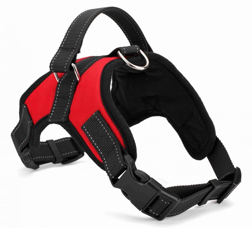 Quick release dog harness - puppy compatible