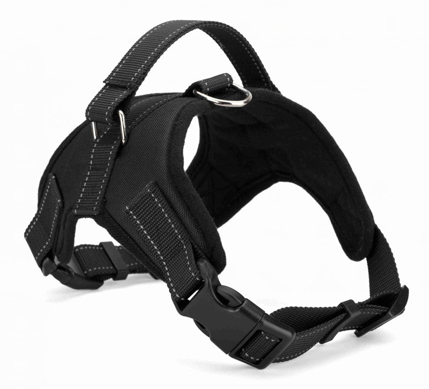 Quick release dog harness - puppy compatible