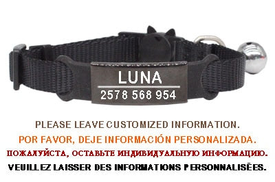 Kitten and cat collar with engraving