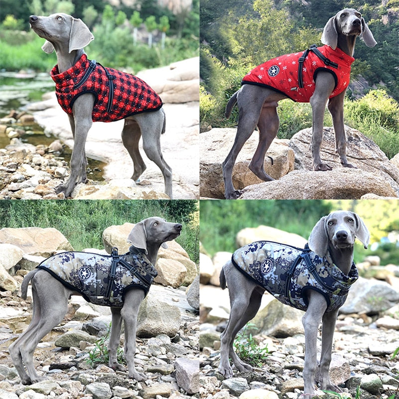 Manteau d'hiver imperméable pour chiens de petite et grande taille