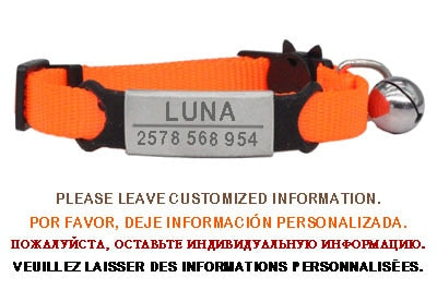 Kitten and cat collar with engraving